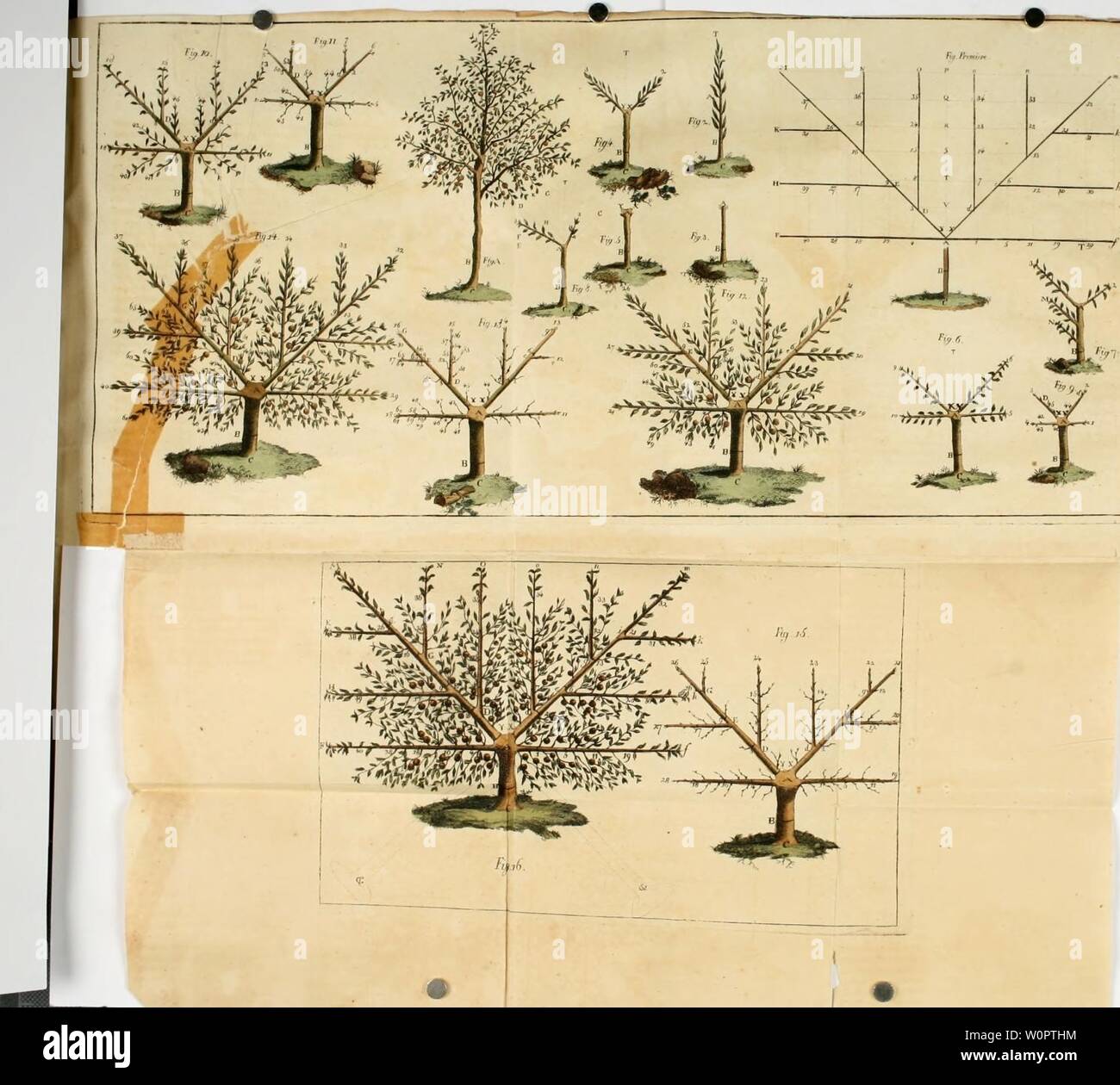 Archiv Bild von Seite 135 des Beschreibung des principaux parcs et. Beschreibung des principaux parcs et jardins de l'Europe: avec Les remarques sur le jardinage et les Plantagen: enrichi ouvrage d'estampes = Bildliche und beschreibende Darstellung der vorzüglichsten Natur und Kunstgärten in Europa: mit Bemerkungen über Gartenkunst und Anpflanzungen: aus dem Französischen descriptiondespr 03 schi Jahr: 1812 Stockfoto