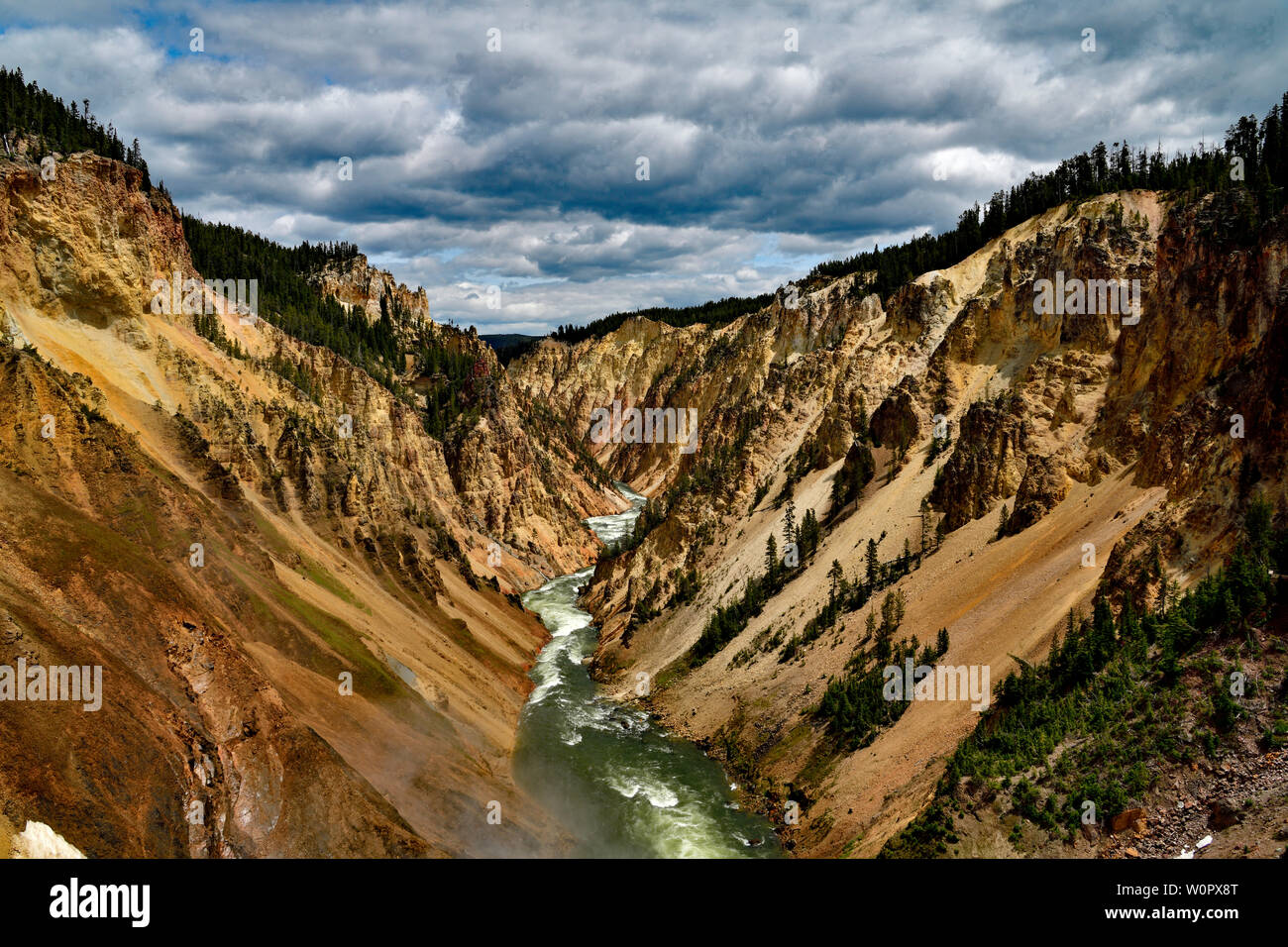 Der Grand Canyon Yellowstone Stockfoto