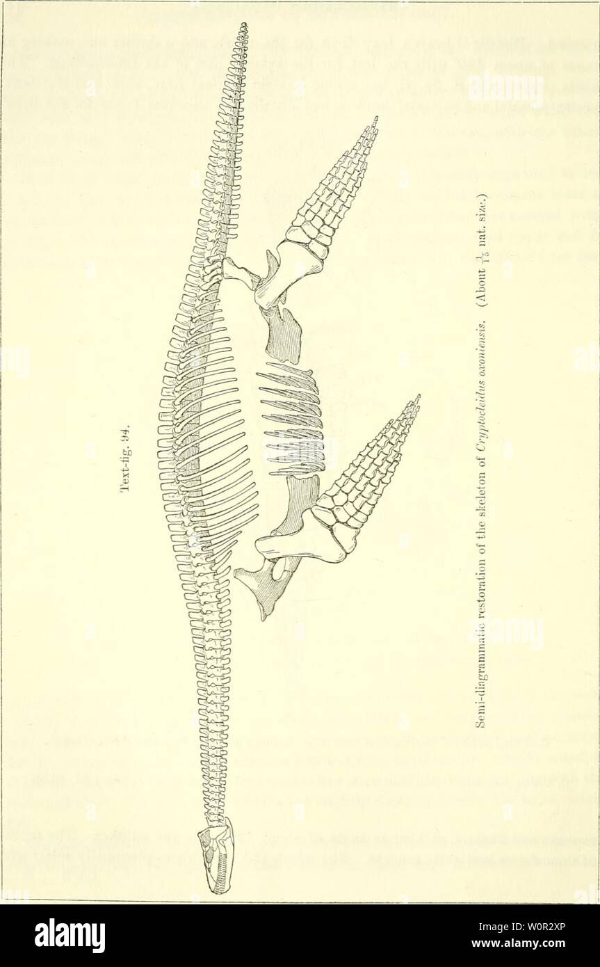 Archiv Bild ab Seite 217 von einem beschreibenden Katalog der. Ein beschreibender Katalog der marinen Reptilien des Oxford clay. Auf dem Leeds Sammlung im British Museum (Natural History), London.. descriptivecatal 01 brit Jahr: 1910 Stockfoto