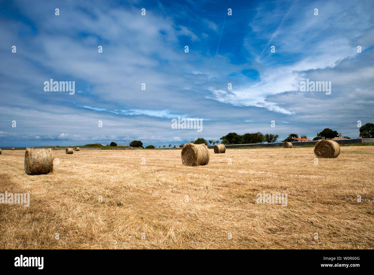 Französische Landschaft - Saint-Martin-de-Ré Stockfoto