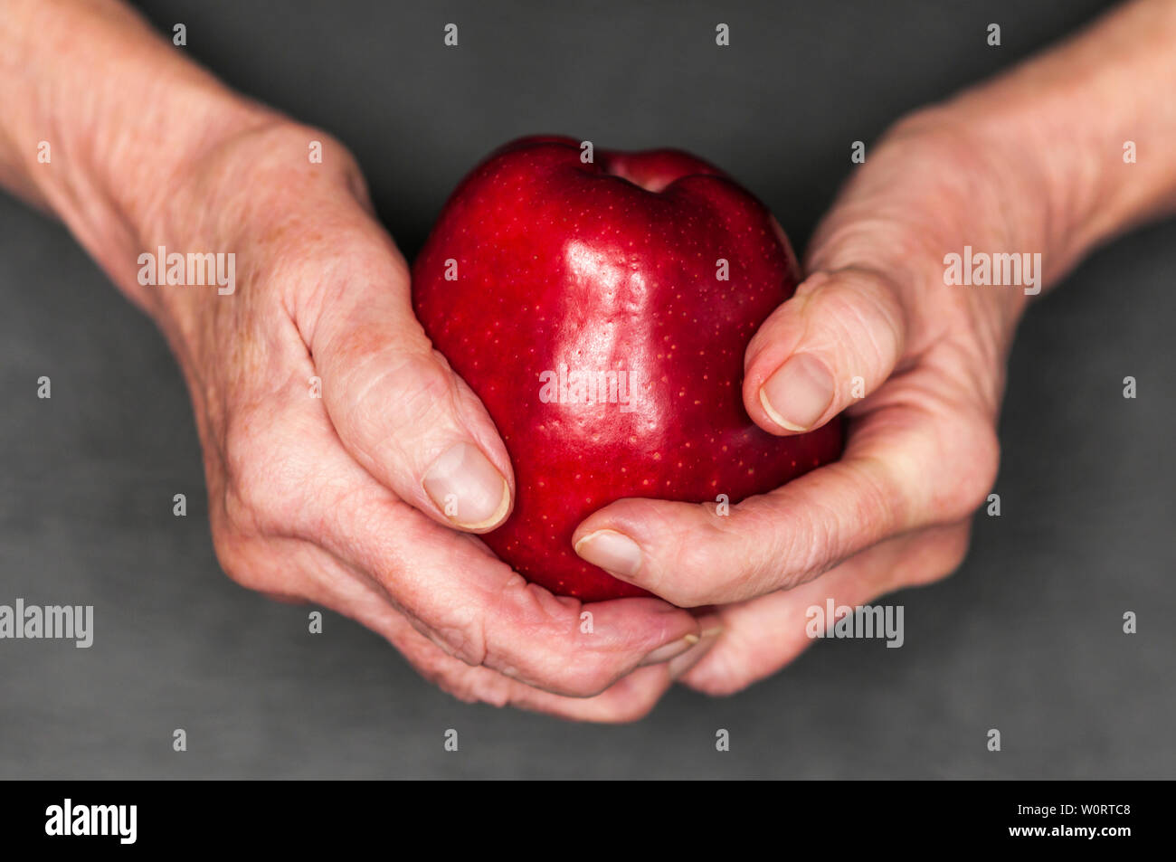 Haende einer alten Frau halten einen roten Apfel vor schwarzem Hintergrund. Stockfoto