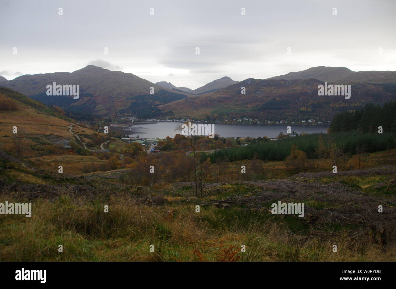 Der Loch Lomond und Cowal Weg. Halbinsel Cowal. Hochland. Schottland. Großbritannien Stockfoto