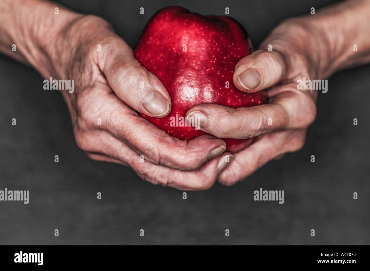 Haende einer alten Frau halten einen roten Apfel vor schwarzem Hintergrund. Stockfoto