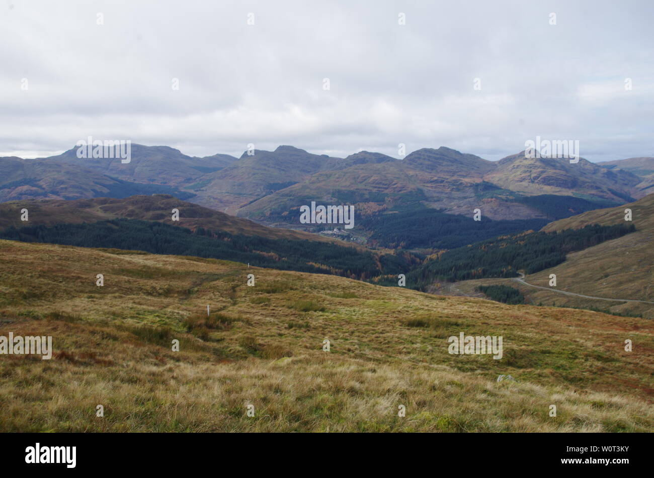 Der Loch Lomond und Cowal Weg. Halbinsel Cowal. Hochland. Schottland. Großbritannien Stockfoto