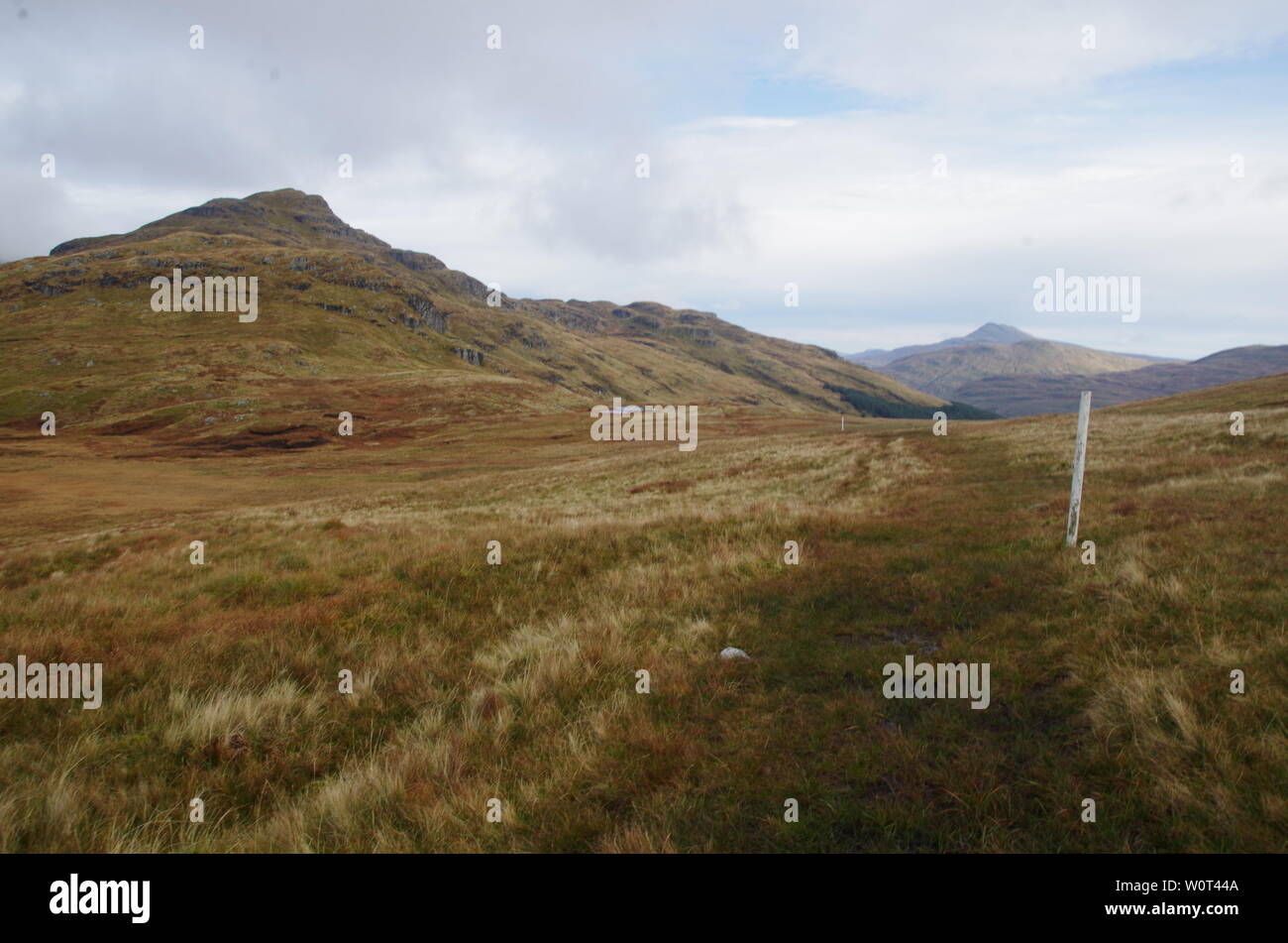 Der Loch Lomond und Cowal Weg. Halbinsel Cowal. Hochland. Schottland. Großbritannien Stockfoto