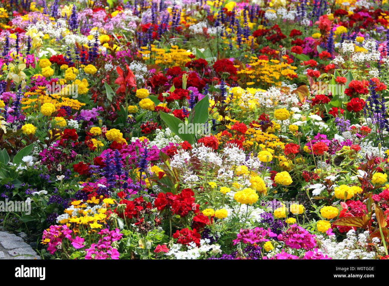 ARD-TV-Show 2. Folge 2018 "Immer wieder Sonntags" Stockfoto