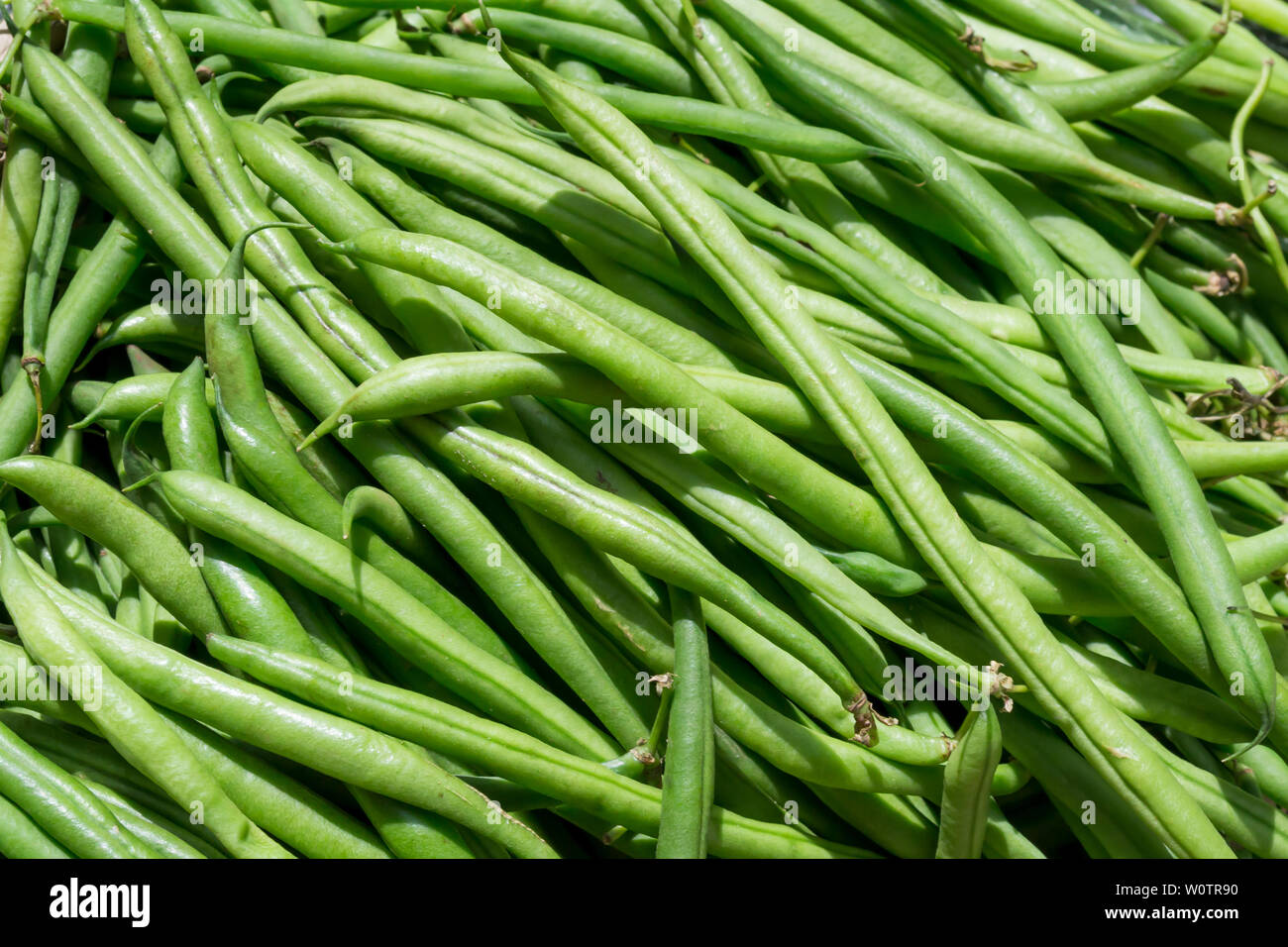 Frische grüne Hülsen von Black Eyed Peas auf dem Markt Stockfoto Frische grüne Hülsen von Black Eyed Peas auf dem Markt Stockfoto