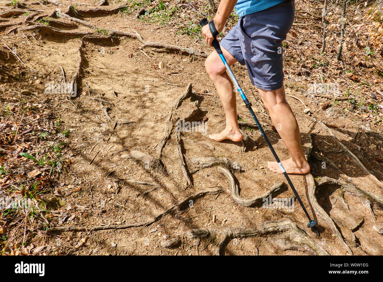 Eine weibliche Wanderer genießen das Wetter, barfuss auf Wurzeln in einem Wald am Auerberg Berg in Stötten a. A., Bayern Allgäu, Deutschland, 22. April, 20. Stockfoto