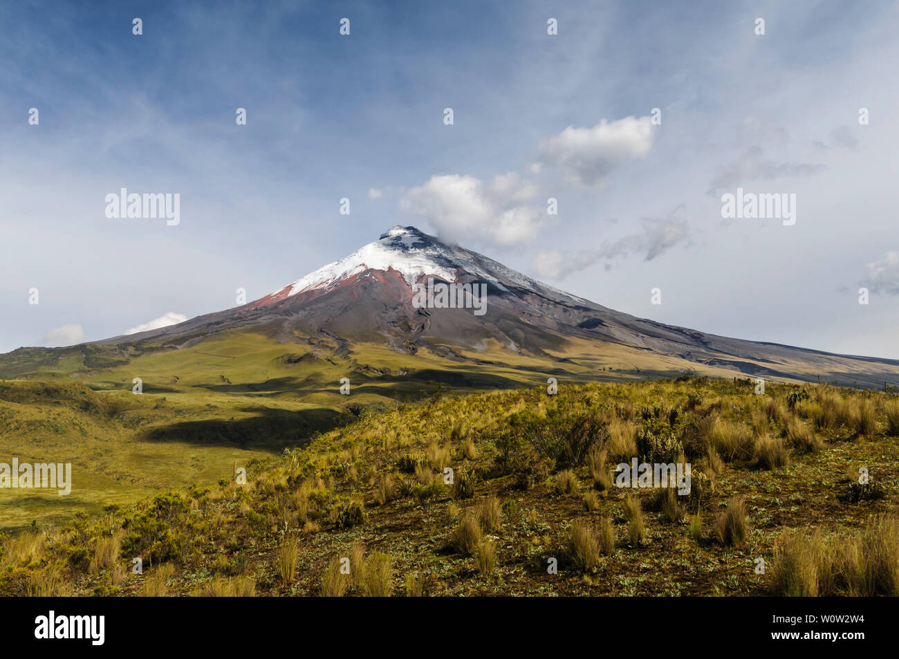 Cotopaxi Stratovulkan in den Anden von Ecuador, Südamerika. Stockfoto