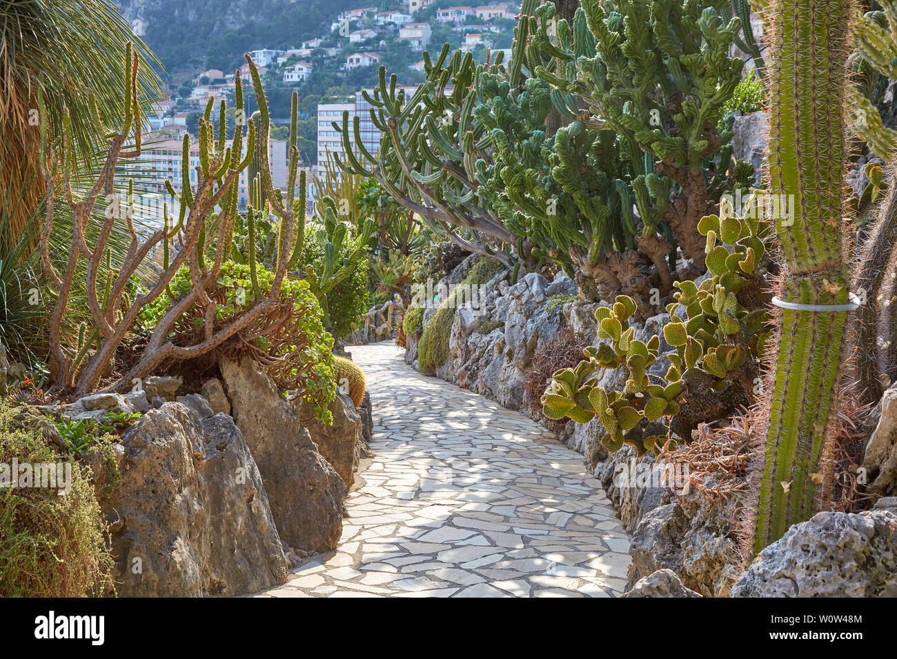 MONTE CARLO, MONACO - 20. AUGUST 2016: Der exotische Garten mit seltenen sukkulenten Pflanzen an einem sonnigen Sommertag in Monte Carlo, Monaco. Stockfoto