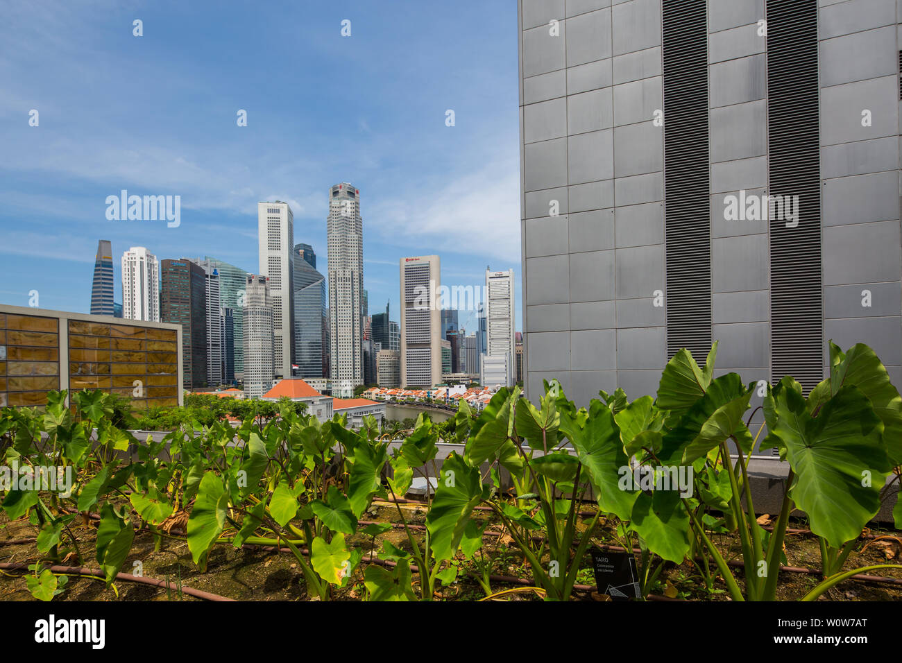 Urban Farming auf dem Dach der Funan Mall bietet das offene Dach einen großartigen Blick auf das Central Business District von Singapur. Stockfoto