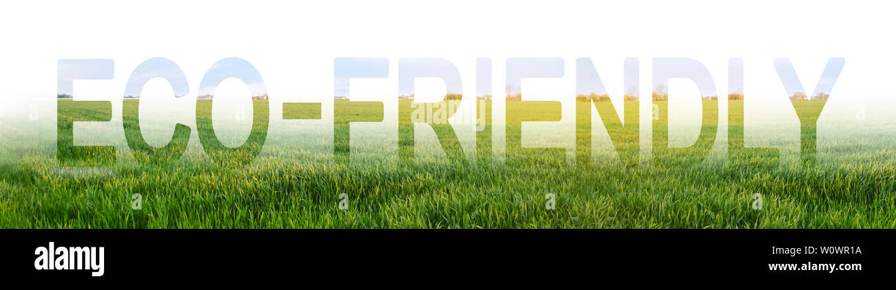 Das Wort Eco-friendly auf dem Hintergrund einer jungen grünen Weizen Plantage. Verringerung der menschlichen Eingriffe in Ökosysteme. Umweltfreundlich, Qualität Stockfoto
