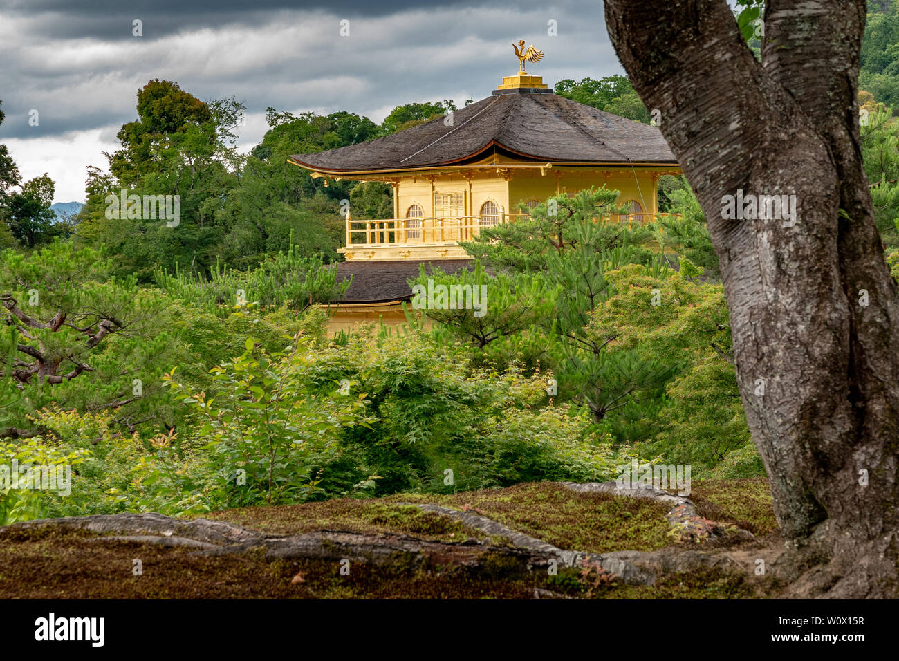 Kinkakuji Tempel an einem bewölkten Tag mit Wasser Reflexion Stockfoto