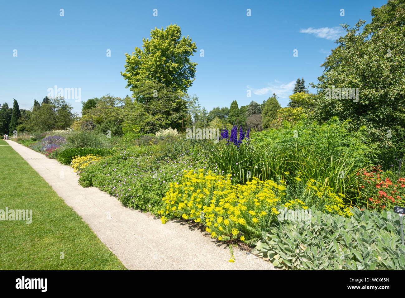 Sir Harold Hillier Gardens (Arboretum) an einem sonnigen Tag im Juni, Hampshire, UK. Die 100-Grenze mit einer Vielzahl von Sommerblumen. Stockfoto