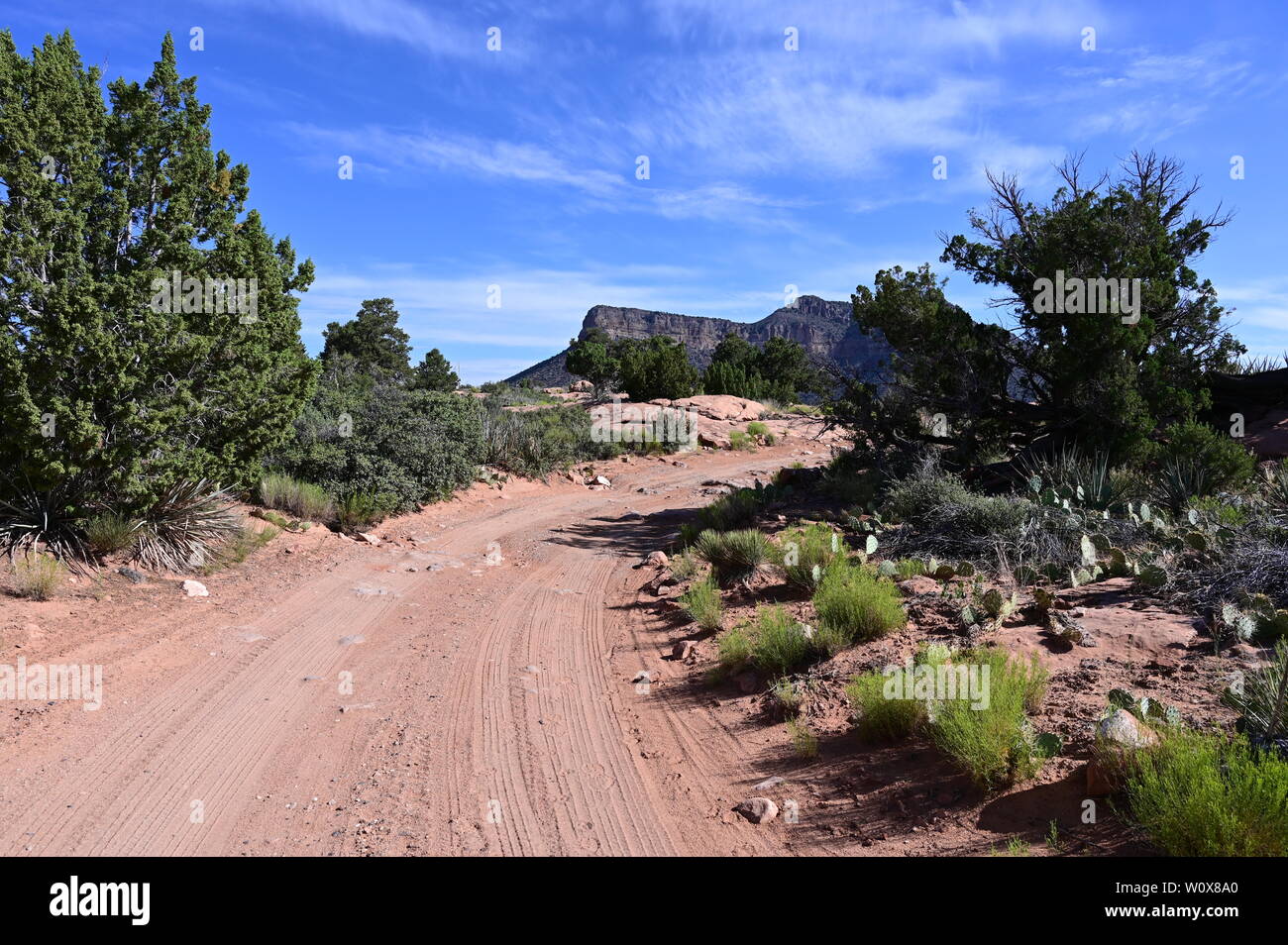 Die robuste, weder Weg zum Toroweap im Grand Canyon National Park, Arizona. Stockfoto