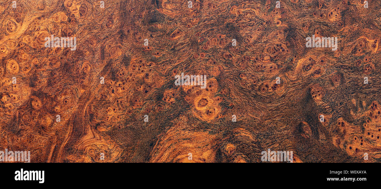 Natur afzelia Wurzelholz gestreift, exotische Holz- schöne Muster für das Handwerk oder abstrakte Kunst Textur Hintergrund Stockfoto
