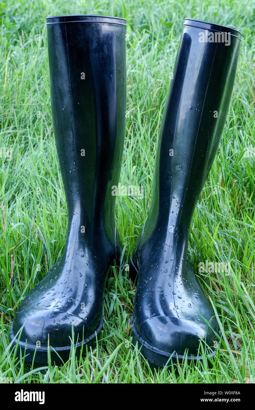 Schwarz glänzend Gummistiefel im grünen Gras stehen. Stockfoto