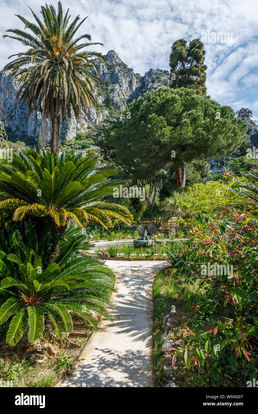 Frankreich, Alpes Maritimes, Menton, Jardin Maria Serena (Maria Serena Garten), Waschbecken, Palmen und Cycas (obligatorische Erwähnung der Garten name und Edi Stockfoto