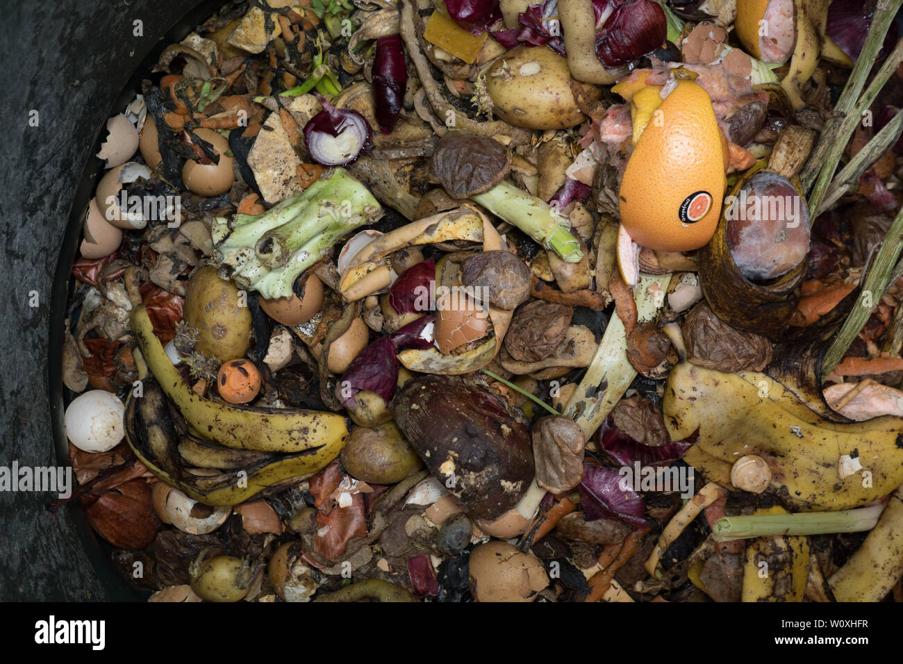 Essen Abfall im Garten Kompost bin. Großbritannien Stockfoto