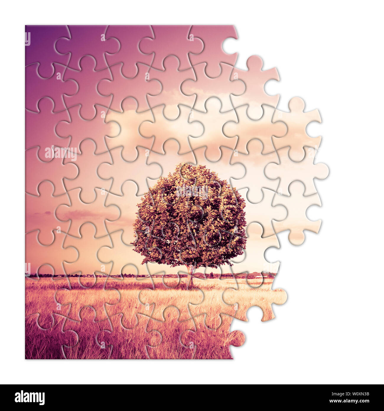 Isolierte Baum in einem Toskana wheatfield in Form von Puzzle - (Toskana - Italien-getonten Bild) Stockfoto