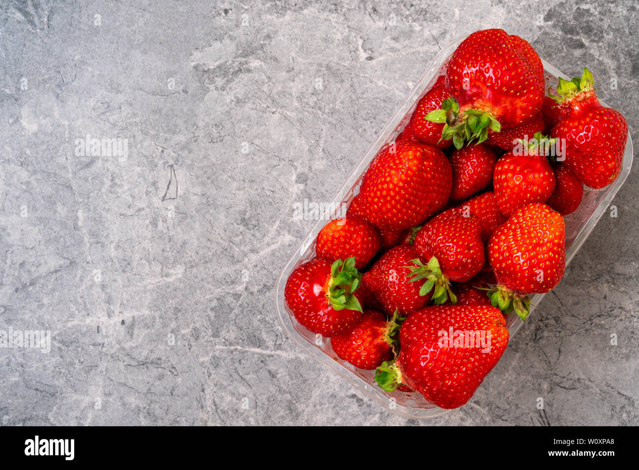 Frische Beeren nur im Erdbeerfeld bereit für gesunde Snacks und Desserts. Stockfoto