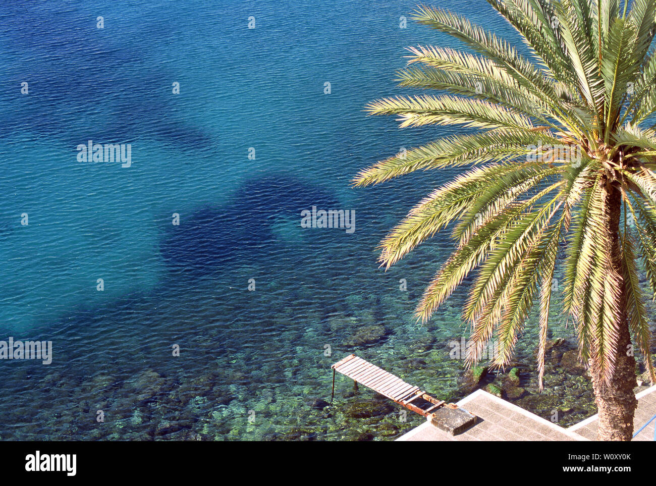 Bild mit Palme, Syros Insel Griechenland Stockfoto