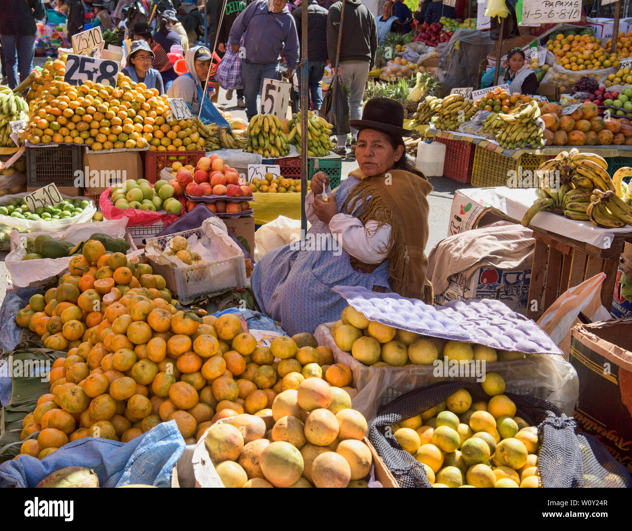 Traditionelle cholita verkaufen Orangen im Mercado Rodriguez Markt, La Paz, Bolivien Stockfoto