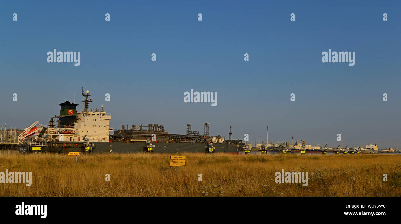 Der Hafen von Rotterdam, Niederlande - 2018.07.24: verfluessigtes Gas tanker Wilhelm Schulte (imo Nr. 9155626) am Europoort/calandkanaal in den frühen Morgen im Hafen Stockfoto