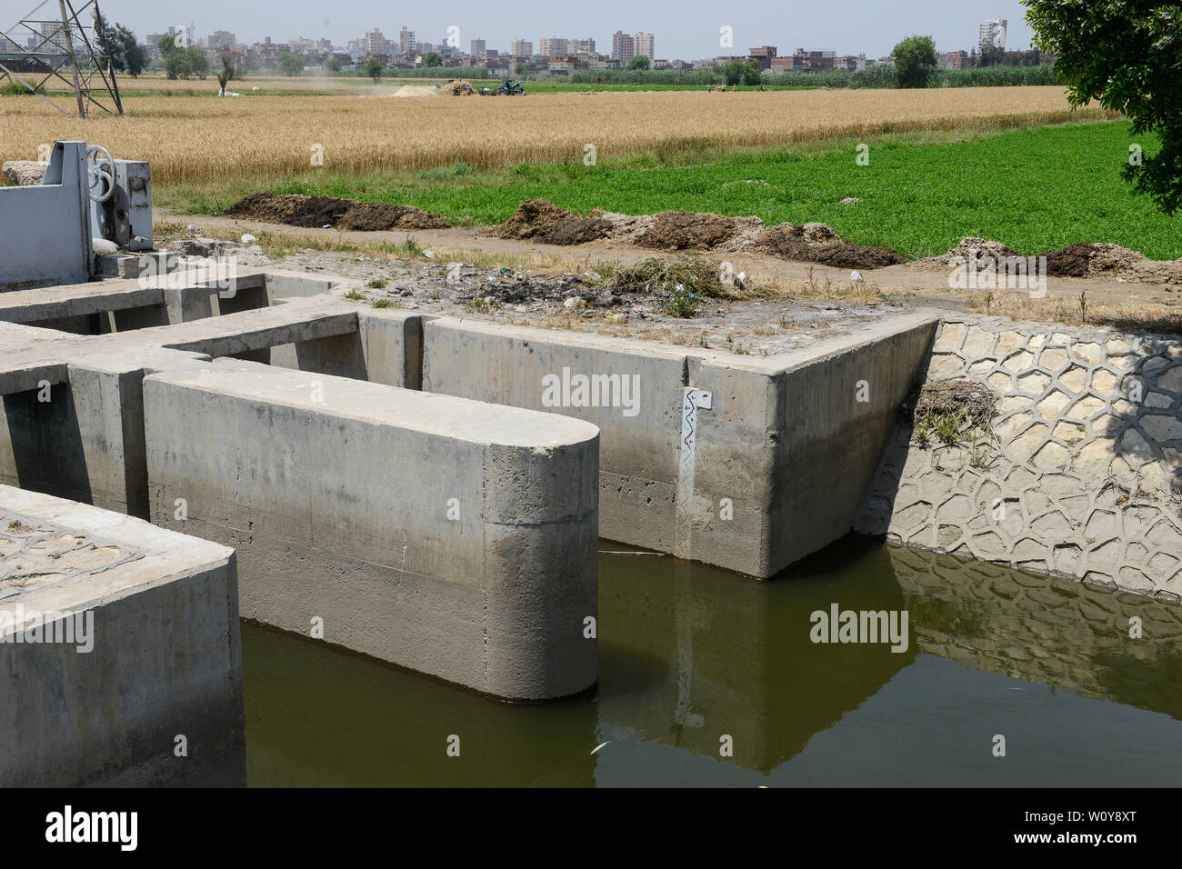 Ägypten, governate Beheira, Kafra Eldawar, Landwirtschaft im Nildelta, Bewässerungskanal, Nil Wasser/AEGYPTEN, Beheira, Landwirtschaft im Nildelta, Kanal fuer Bewaesserung mit Nil Wasser Stockfoto
