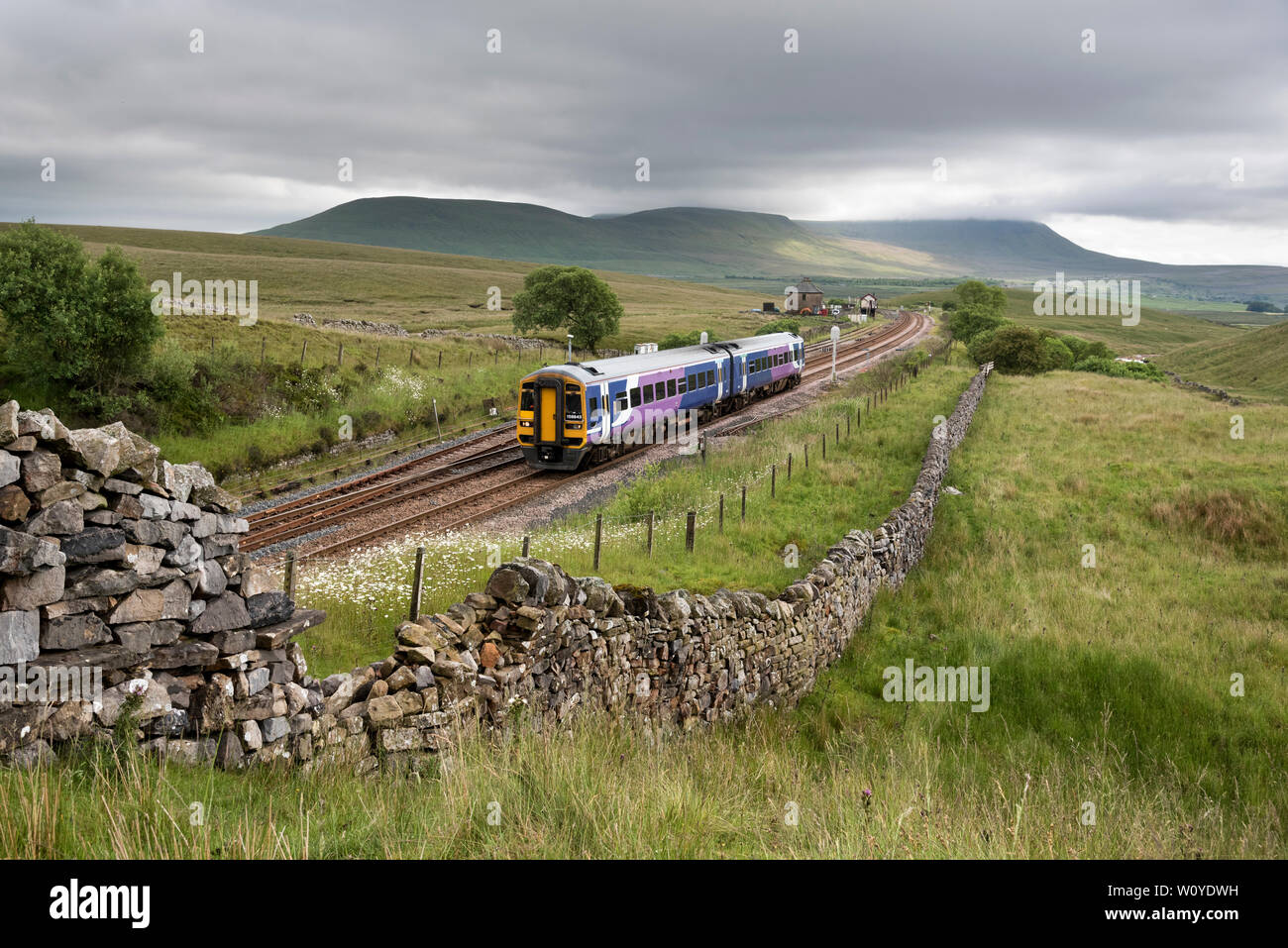 Sprinter Personenzug in Richtung Norden über blea Moor auf der Settle-Carlisle Railway Line, Yorkshire Dales National Park. Stockfoto