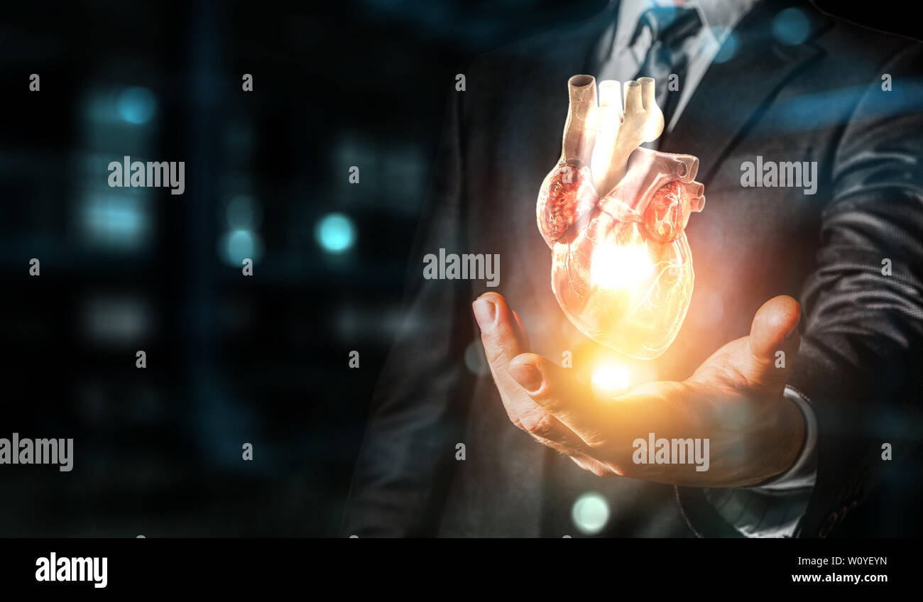 Die Hände des Menschen zeigen anatomische Herz Modell. Mixed Media. Stockfoto
