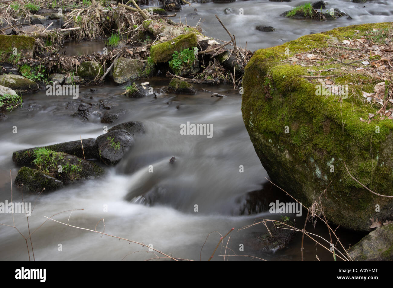 Wasser über Bemooste Steine in einem kleinen Bach rauschen Stockfoto