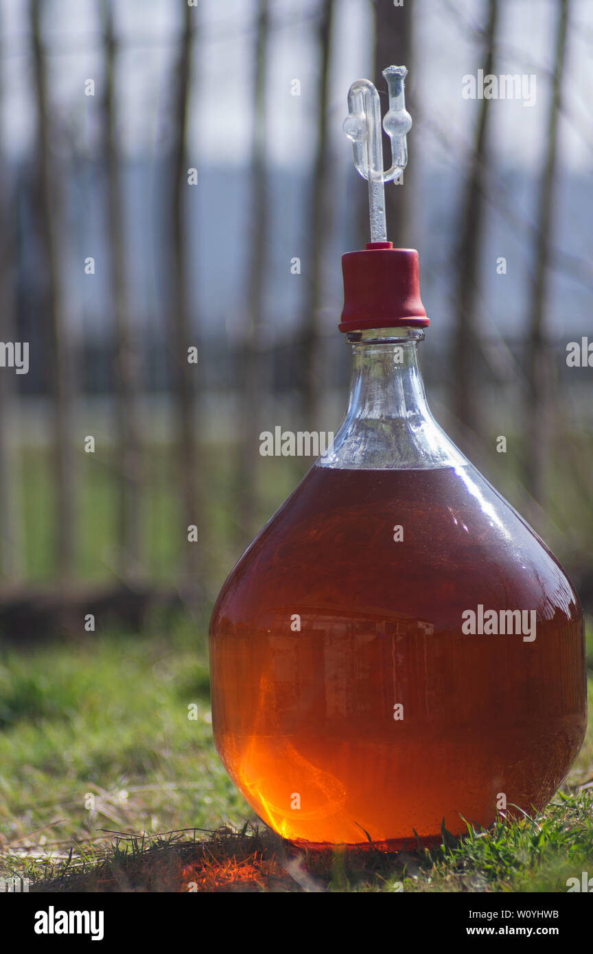 Glas Ballon mit Apple Cider gefüllt Stockfoto