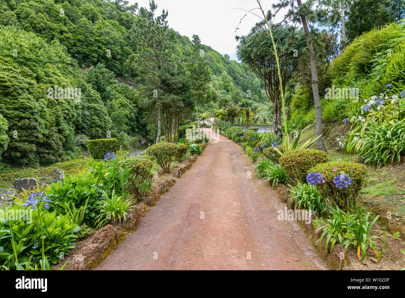 Natural Dos Caldeiroes Park im Norden der Insel Sao Miguel, Azoren Archipel, Portugal Stockfoto