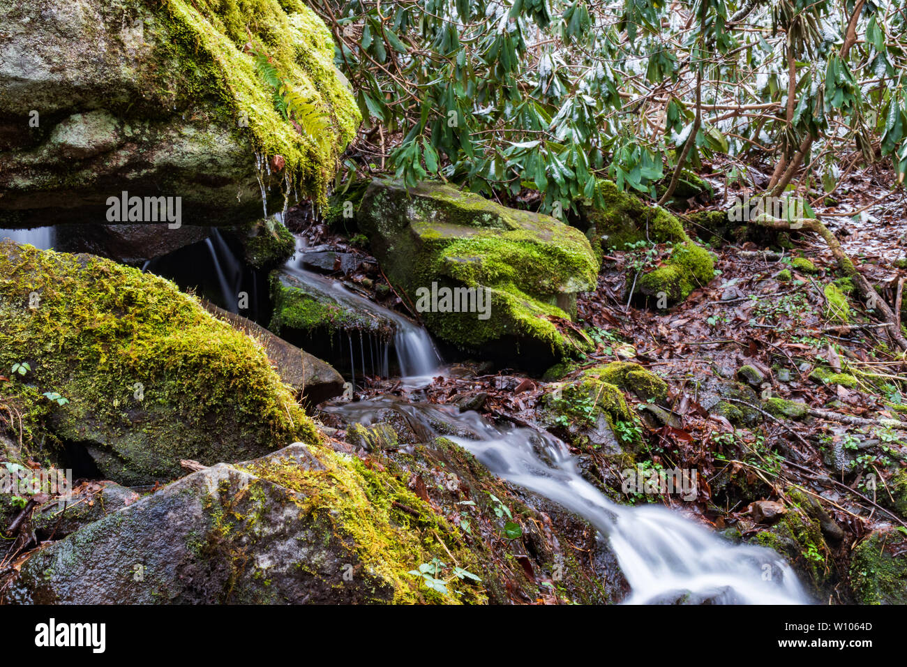 Wasserfälle in der Great Smoky Mountains National Park, Tennessee, USA Stockfoto