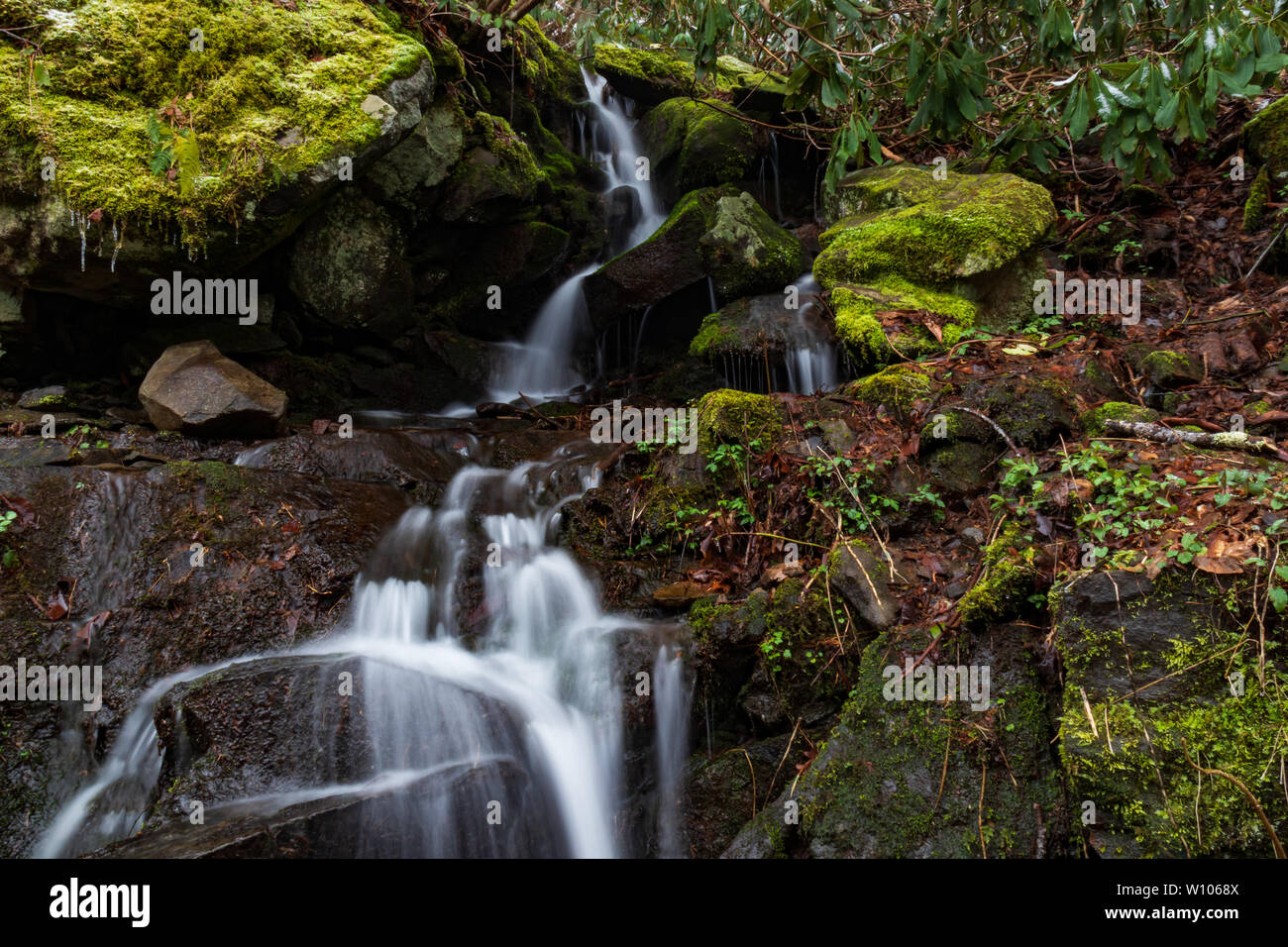 Wasserfälle in der Great Smoky Mountains National Park, Tennessee, USA Stockfoto