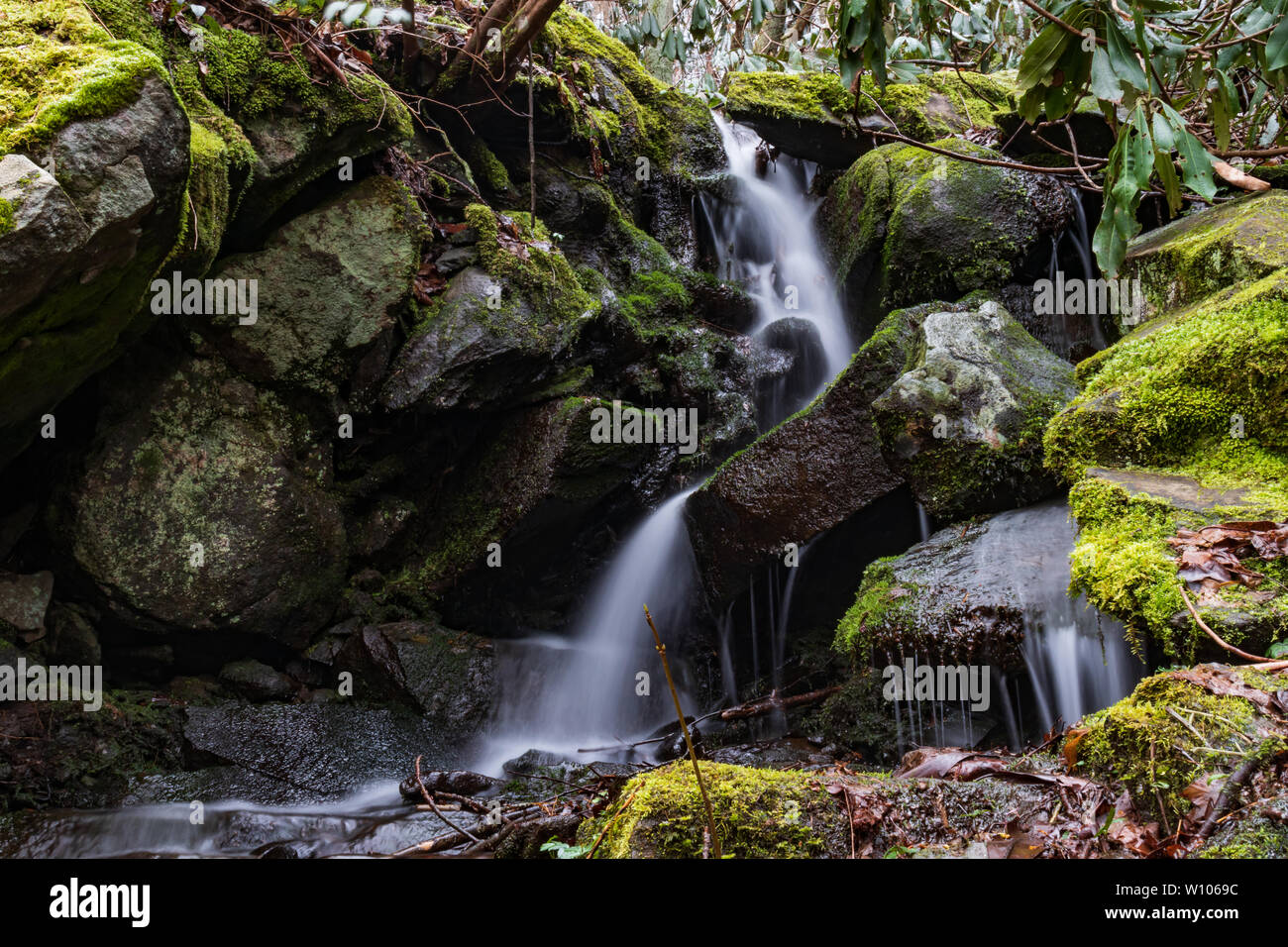 Wasserfälle in der Great Smoky Mountains National Park, Tennessee, USA Stockfoto