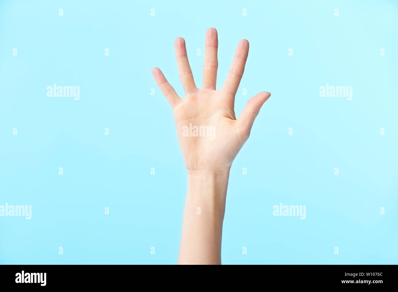 Menschliche Hand zeigt die Nummer Fünf, auf blauem Hintergrund isoliert Stockfoto