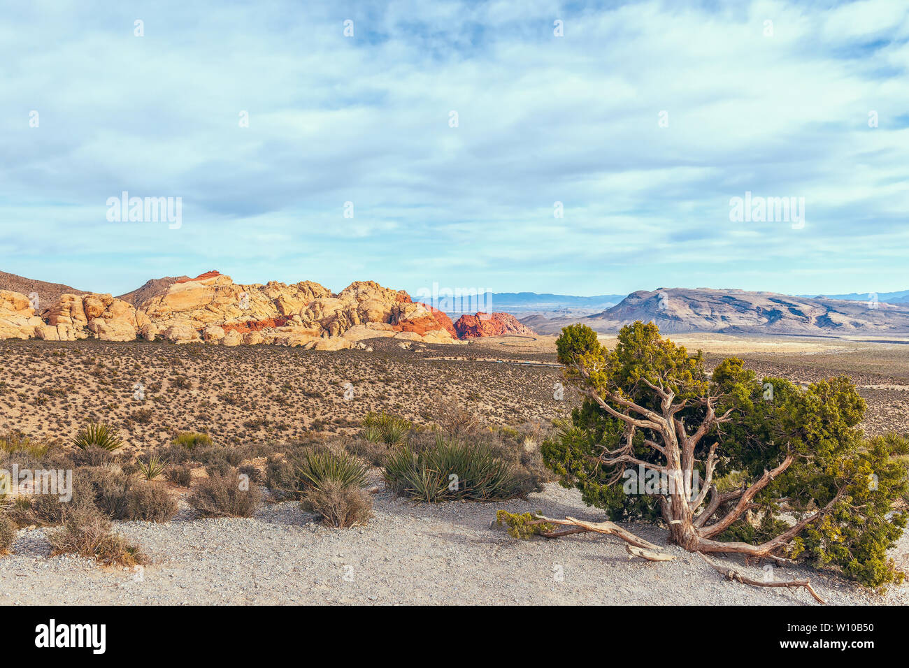 Blick vom höchsten Punkt übersehen. Der Red Rock Canyon National Conservation Area. Nevada. USA Stockfoto