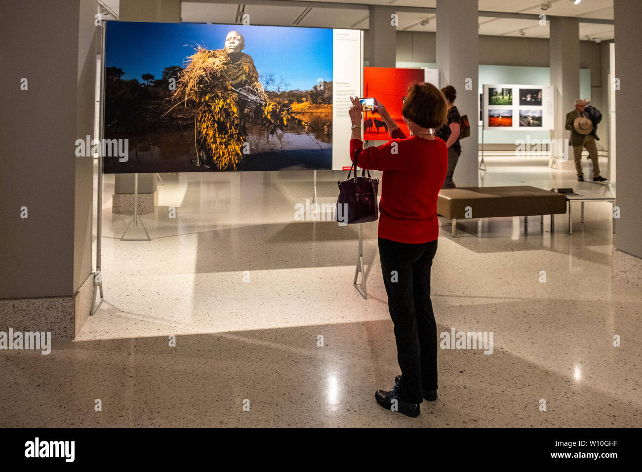 Besucher im 2019 World Press Photo Ausstellung in die Staatsbibliothek von New South Wales in Sydney, Australien. Stockfoto
