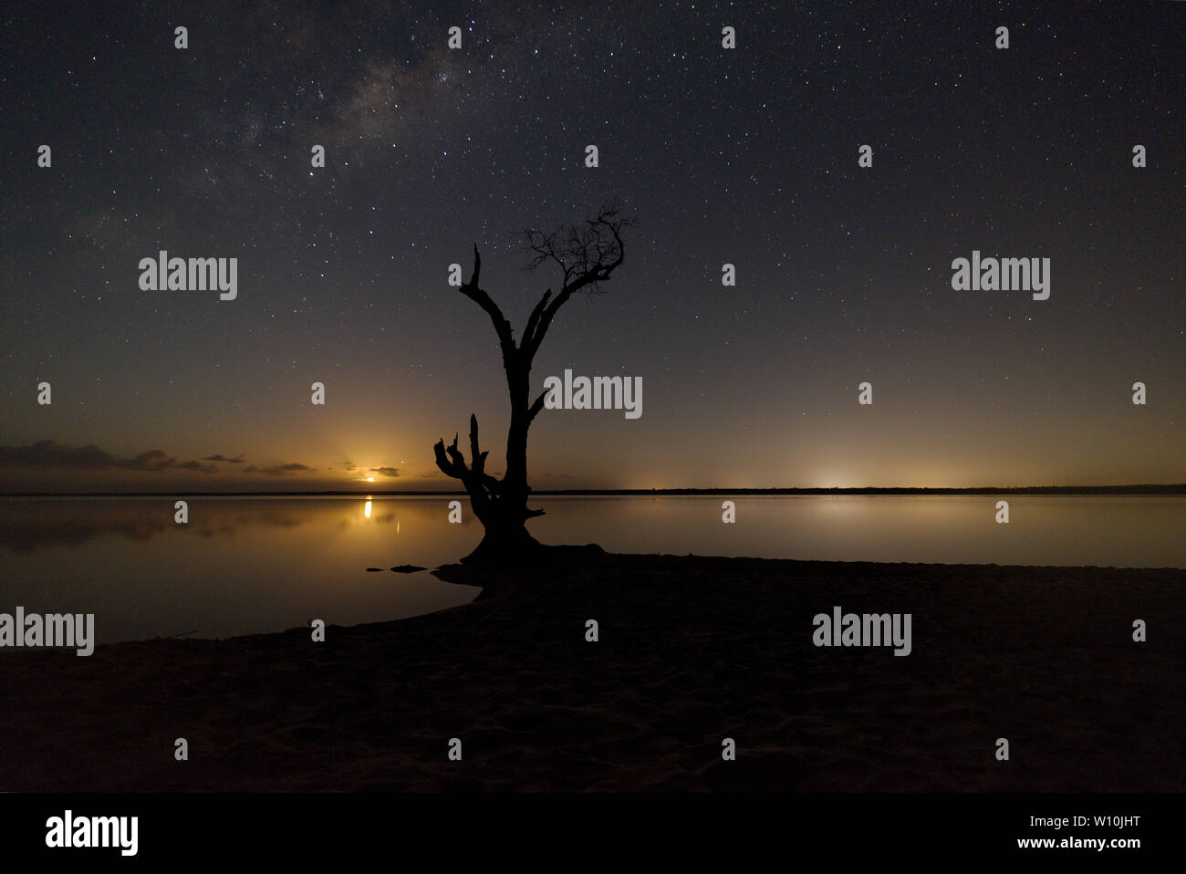 Mondaufgang über einem See, mit einem einzigen Baum unter der Milchstraße Stockfoto