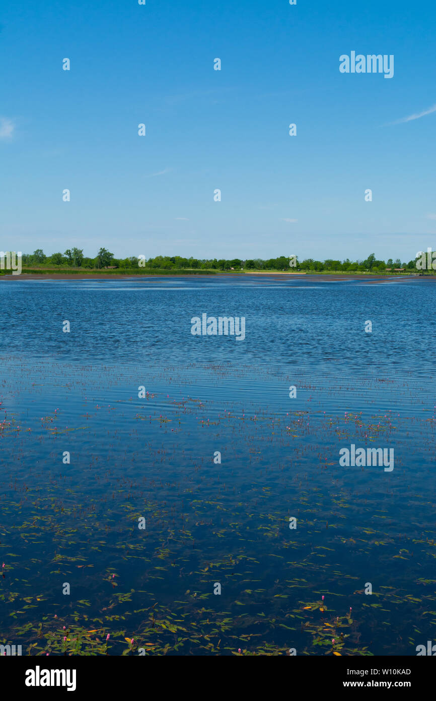 See in Richard Bong Zustand Erholungsgebiet an einem schönen Sommernachmittag. Kansasville, Wisconsin, USA Stockfoto