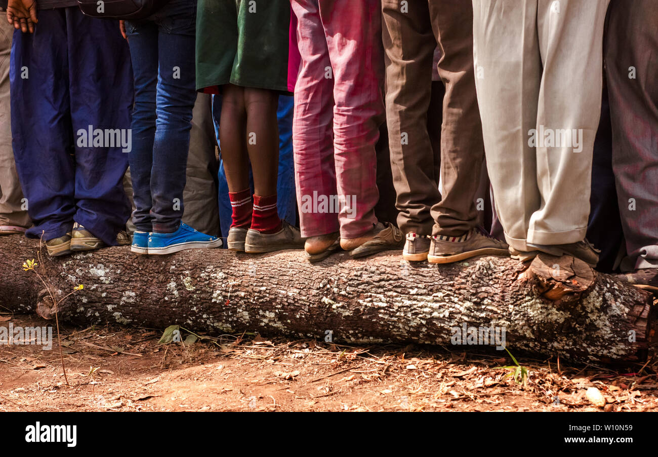 Männer stehen auf gefallenen Baumstamm in Afrika Stockfoto