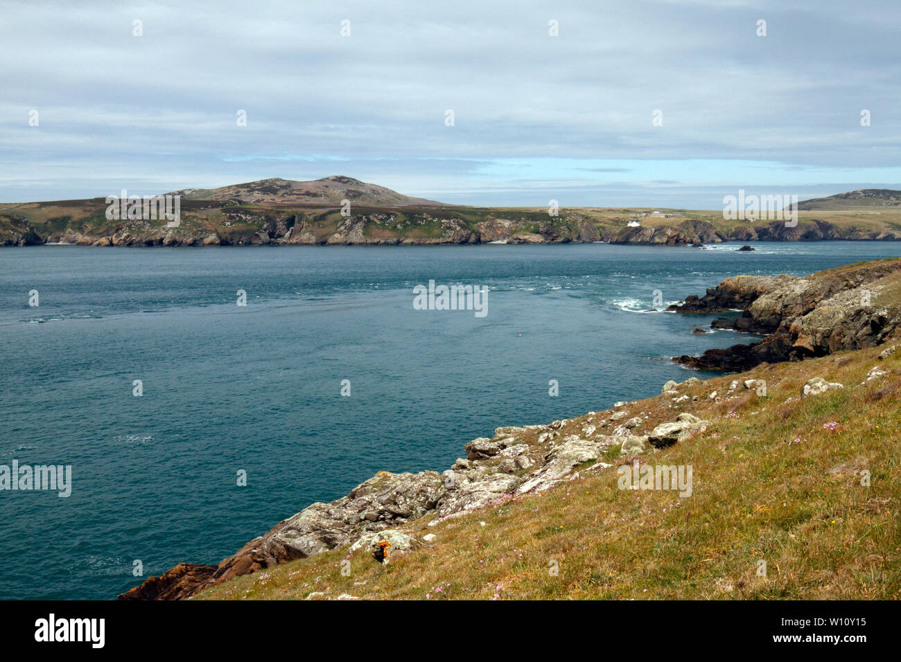 Ramsey Ramsey Insel über den Sound von Pembrokeshire Coastal Path. Wales, Großbritannien Stockfoto