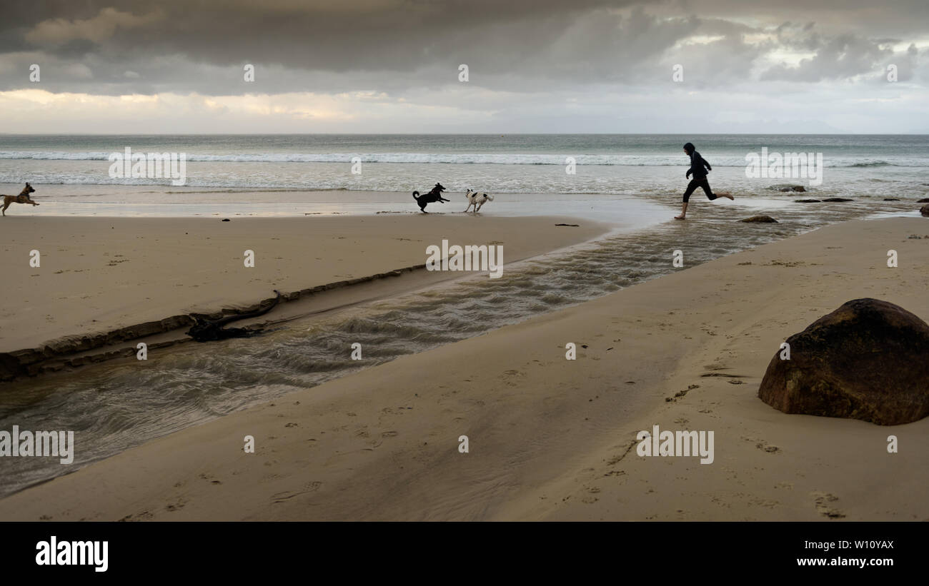 Mit der Hunde Glencairn Strand auf Südafrika der False Bay Küste, in der Nähe von Kapstadt, in den Wintermonaten des Landes Stockfoto