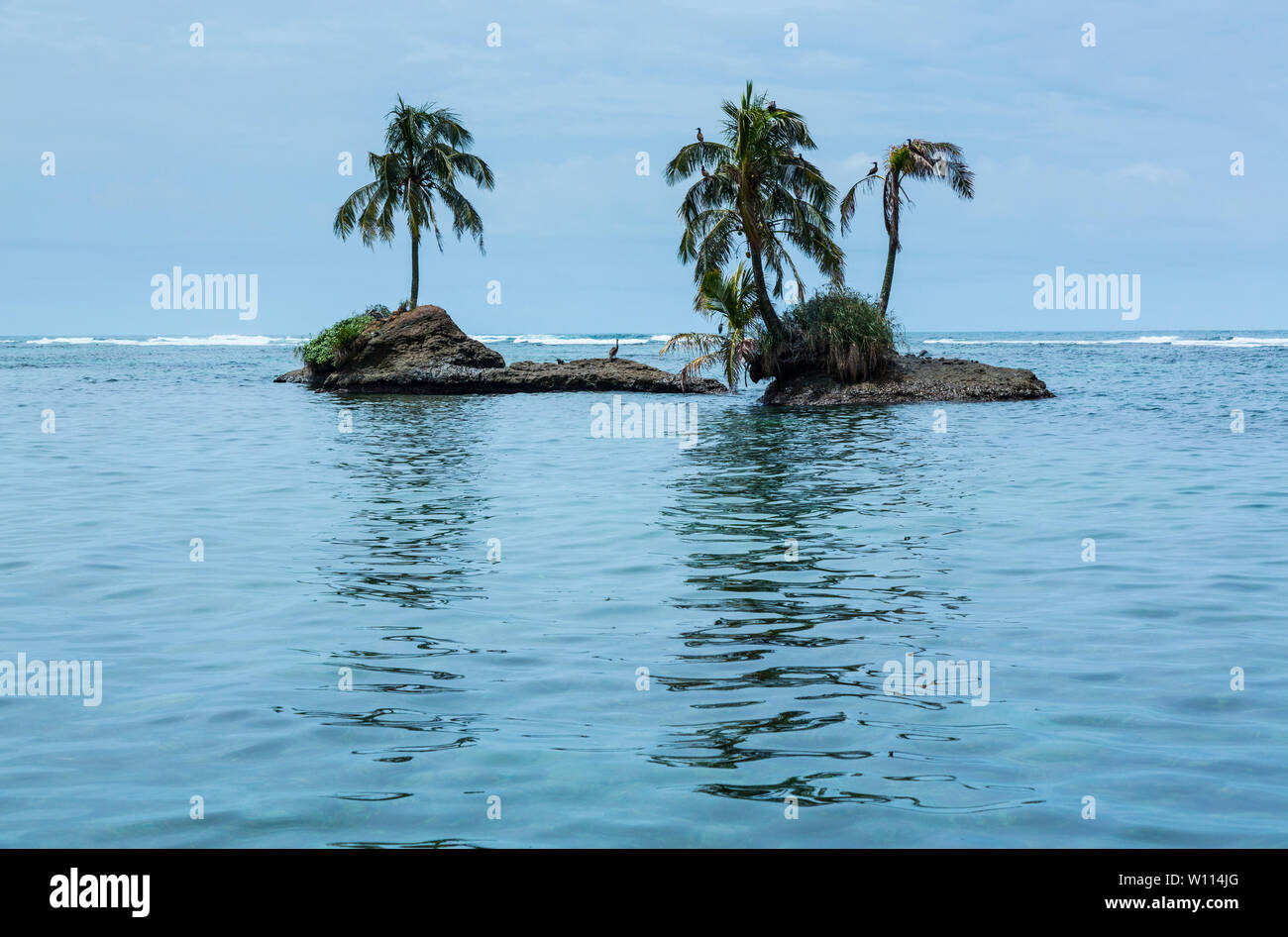 Südlichen Zapatilla Cay, Archipel Bocas del Toro, Bocas del Toro Provinz, Panama, Mittelamerika, Amerika Stockfoto