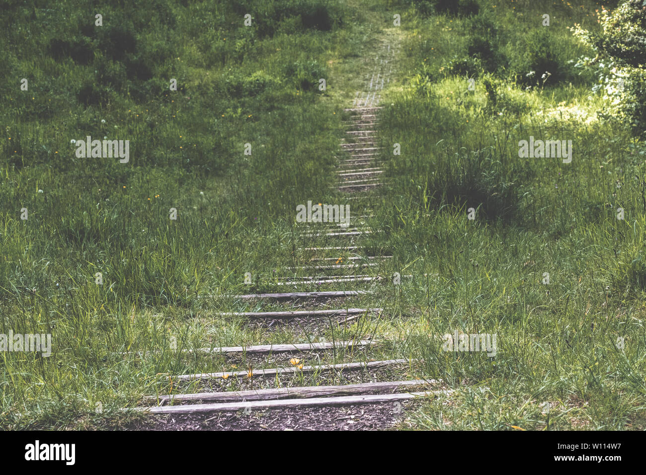 Lange Absteigend flache Treppen in den Waldweg, Grün Holztreppe Stockfoto
