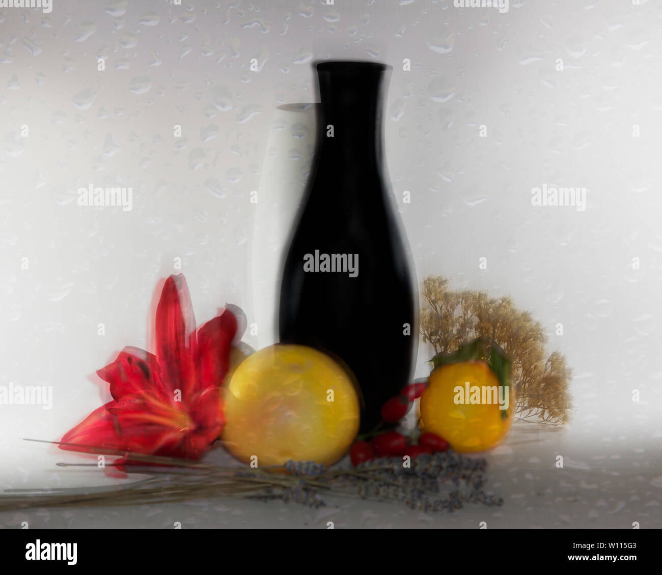 Immer noch Leben - Vase, Blumen und Früchte auf schwarzem Hintergrund Stockfoto