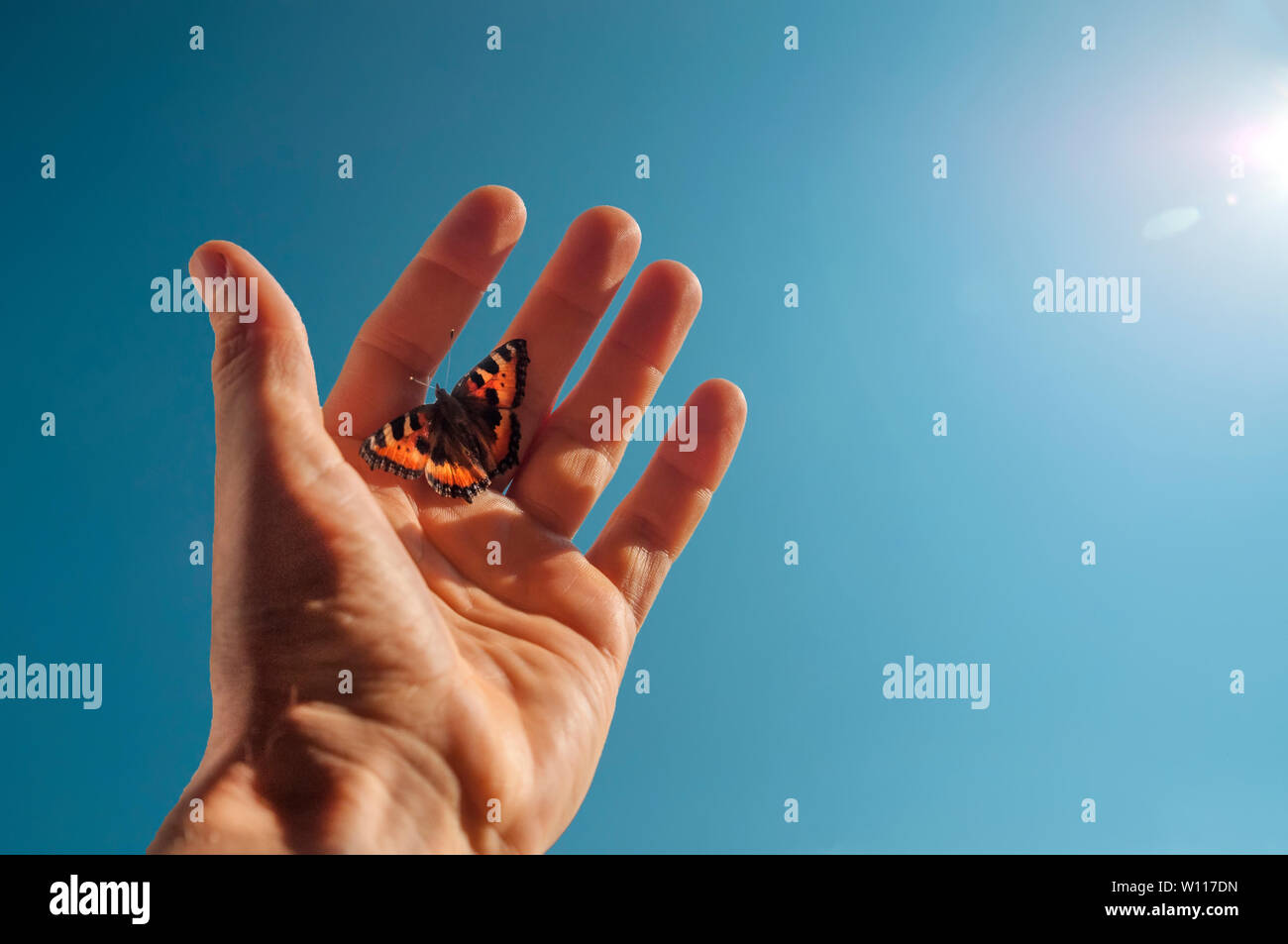 Ein Mann mit dem Schmetterling auf seine Finger reicht bis an die Sonne gegen den blauen Himmel Stockfoto