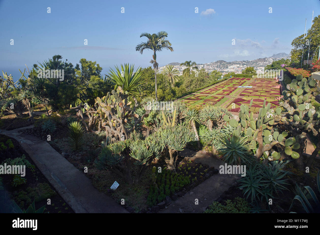 Der Botanische Garten von Madeira, Funchal, Madeira, Portugal, Europäische Union Stockfoto